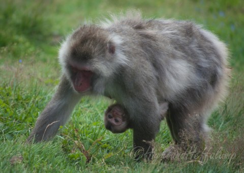 Hanging out with mum