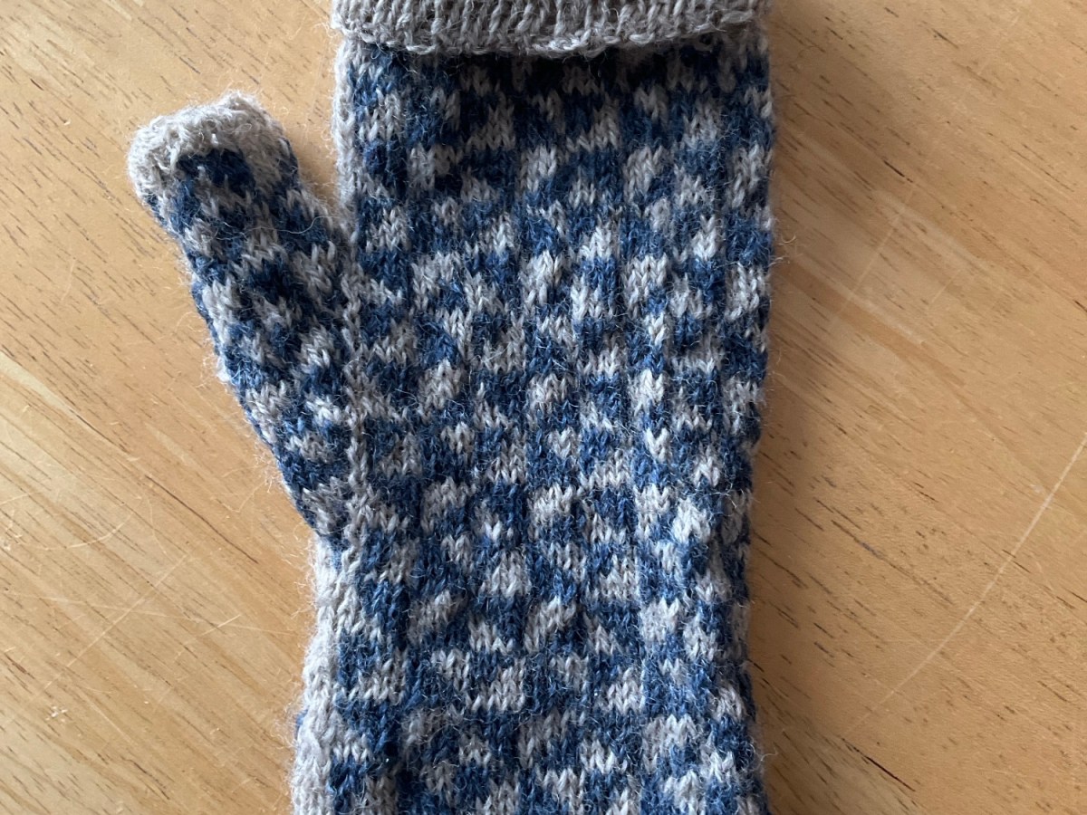 YOP16 – Week 17/52 – not much to see here! 🐸